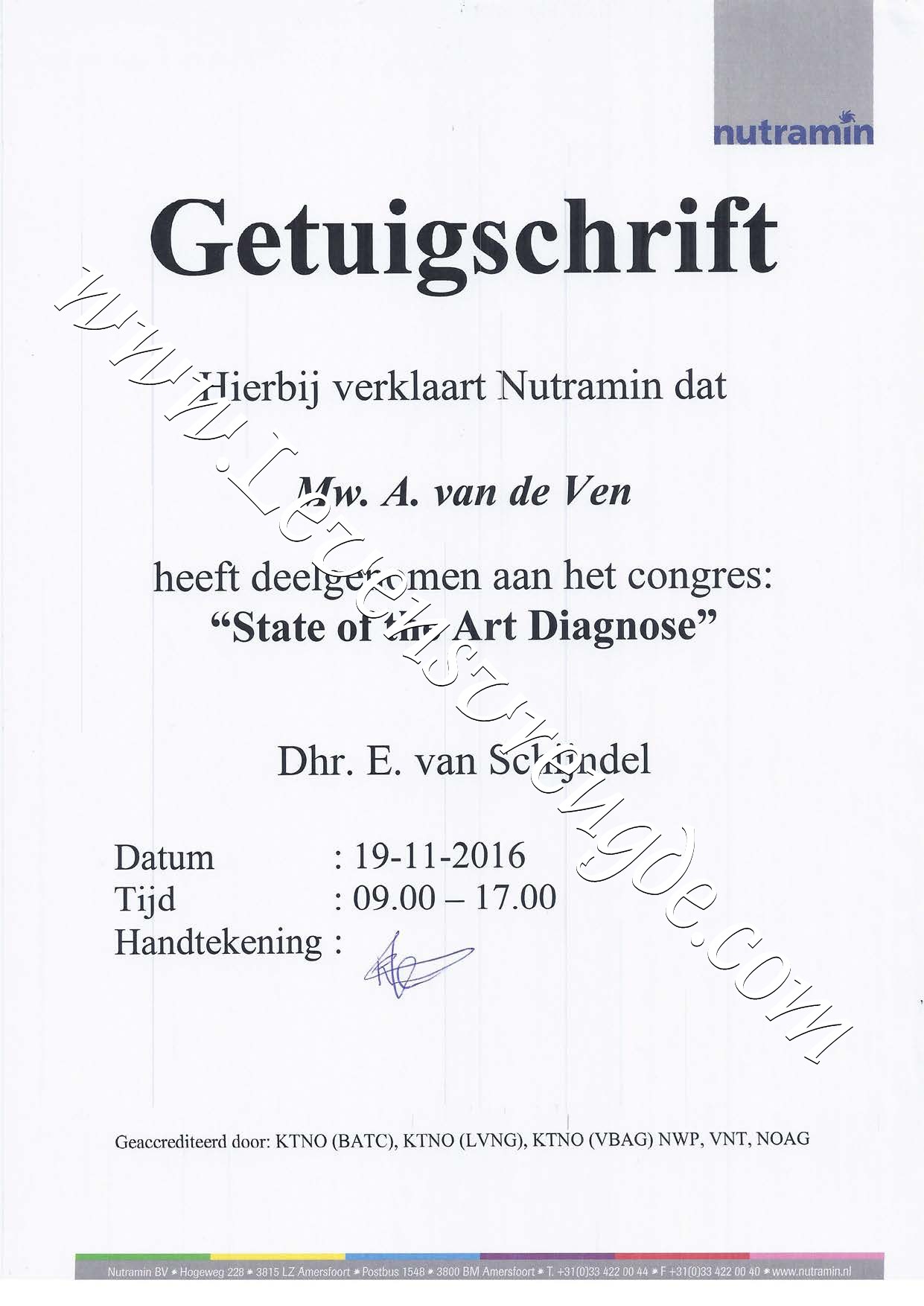  State of the Art Diagnose